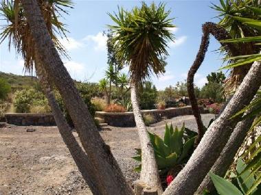 Ferienwohnung in Guia de Isora (Teneriffa) oder Ferienwohnung oder Ferienhaus