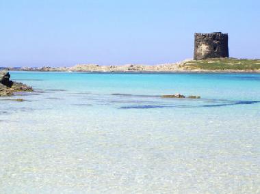 Ferienwohnung in Alghero (Sassari) oder Ferienwohnung oder Ferienhaus