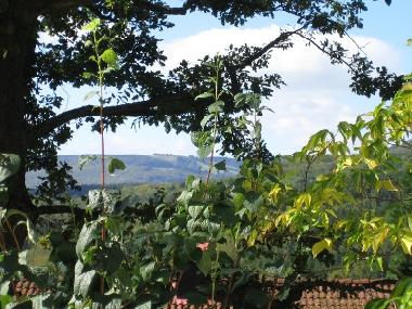 Vom Garten aus blickt man hinber zur Kissinger Htte am Feuerberg: die berhmte Rhner Weitsicht.
