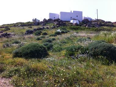 Ferienhaus in Myconos (Kyklades) oder Ferienwohnung oder Ferienhaus
