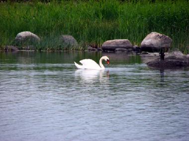 Ferienhaus in at sea (Saaremaa) oder Ferienwohnung oder Ferienhaus