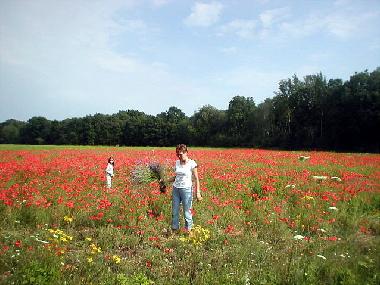 Ferienhaus in Rannak�la (Saaremaa) oder Ferienwohnung oder Ferienhaus