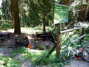 Der Starbach Kammloipe / Kammweg ideal zum Wandern oder Biken
