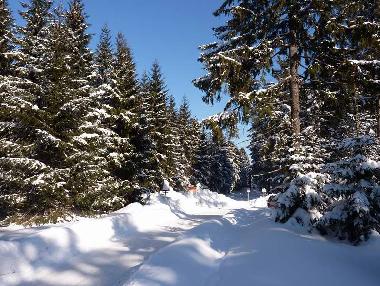 Ferienwohnung in Klingenthal (Vogtland) oder Ferienwohnung oder Ferienhaus
