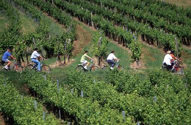 Ferienwohnung in Zellerndorf (Weinviertel) oder Ferienwohnung oder Ferienhaus