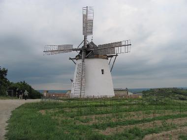 Ferienwohnung in Zellerndorf (Weinviertel) oder Ferienwohnung oder Ferienhaus