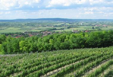 Ferienwohnung in Zellerndorf (Weinviertel) oder Ferienwohnung oder Ferienhaus