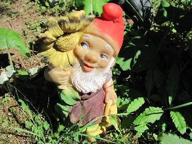 Ferienwohnung in Zellerndorf (Weinviertel) oder Ferienwohnung oder Ferienhaus