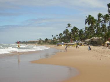 Der Strand vor der Villa cactus