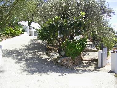 Villa in Frigiliana (M�laga) oder Ferienwohnung oder Ferienhaus
