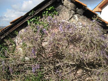 Pension in oldr�es (Norte) oder Ferienwohnung oder Ferienhaus