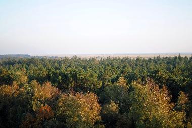 Blick von der Loggia zum Sdstrand