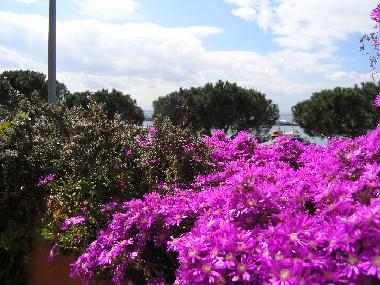 Ferienhaus in Rosas (Girona) oder Ferienwohnung oder Ferienhaus