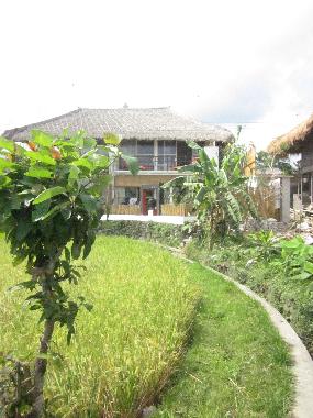 Villa in Kerobokan - Umalas (Bali) oder Ferienwohnung oder Ferienhaus