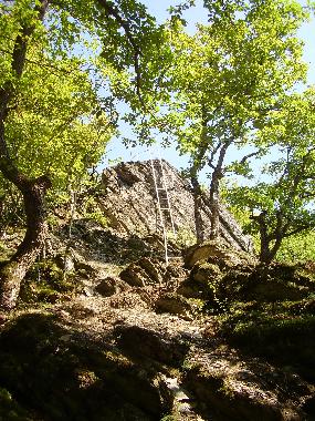 Traumhafte Wanderwege