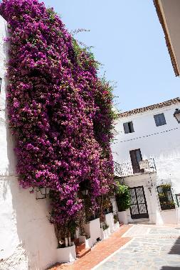 Altstadt von Marbella