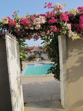 Ferienhaus in Muslandsv�g (Rogaland) oder Ferienwohnung oder Ferienhaus