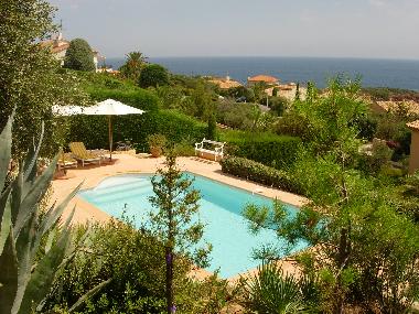 Uneinsichtige 900 m2 grosse, mediterrane Gartenanlage und Pool mit Gegenstromanlage