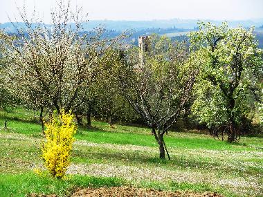 Ferienhaus in san casciano val di pesa (Firenze) oder Ferienwohnung oder Ferienhaus