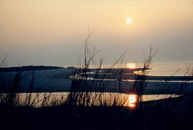 Am Strand von Vrouwenpolder