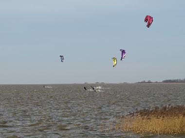 Villa in Oudemirdum (Friesland) (Friesland) oder Ferienwohnung oder Ferienhaus