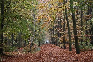 Villa in Oudemirdum (Friesland) (Friesland) oder Ferienwohnung oder Ferienhaus