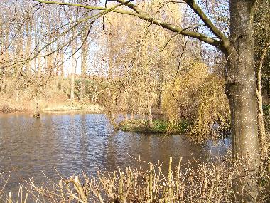 Angelteich in der Nhe der Rosenkate