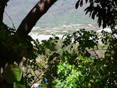 Ferienhaus in Los Llanos (La Palma und El Hierro) oder Ferienwohnung oder Ferienhaus