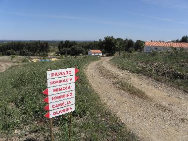 Ferienhaus in Santiago do Cacem (Alentejo Litoral) oder Ferienwohnung oder Ferienhaus