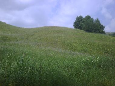 Ferienhaus in Bisoca (Buzau) oder Ferienwohnung oder Ferienhaus