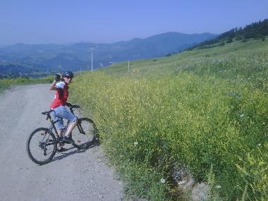 Ferienhaus in Bisoca (Buzau) oder Ferienwohnung oder Ferienhaus