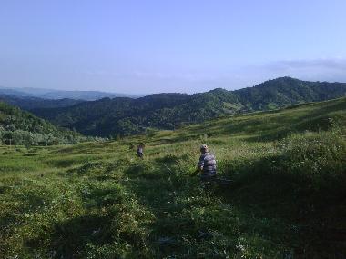 Ferienhaus in Bisoca (Buzau) oder Ferienwohnung oder Ferienhaus