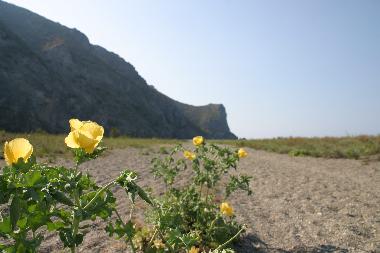 Am Laghetti di Mare, oder dem Mare secco - naturgesch�tzes Atoll