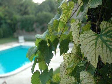 Ferienhaus in Varennes le Grand (Sa�ne-et-Loire) oder Ferienwohnung oder Ferienhaus