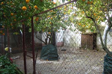 Ferienhaus in Alandroal (Alto Alentejo) oder Ferienwohnung oder Ferienhaus