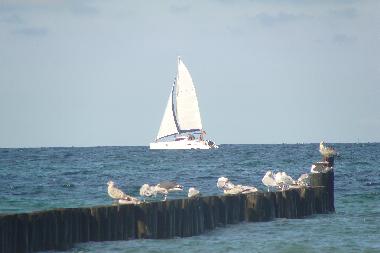 Ferienwohnung in Ostseebad Nienhagen (Mecklenburgische Ostseekste) oder Ferienwohnung oder Ferienhaus