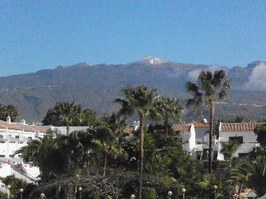Ferienwohnung in Costa del Silencio (Teneriffa) oder Ferienwohnung oder Ferienhaus