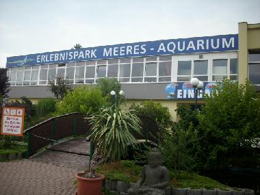 Meeresaquarium Zella-Mehlis