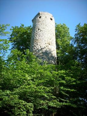 Trusetaler Burgruine Wallenburg