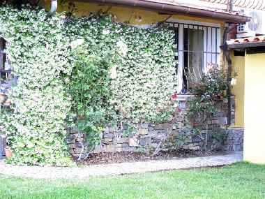 Ferienhaus in Imperia (Imperia) oder Ferienwohnung oder Ferienhaus