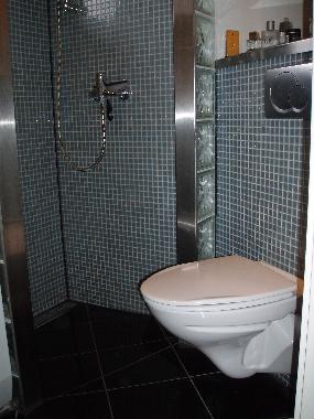 Ferienhaus in Holl�selund (Vestsjalland) oder Ferienwohnung oder Ferienhaus