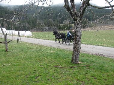 Ferienhaus in Lunde (Telemark) oder Ferienwohnung oder Ferienhaus