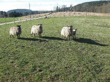 Ferienhaus in Lunde (Telemark) oder Ferienwohnung oder Ferienhaus