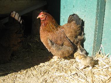 Ferienhaus in Lunde (Telemark) oder Ferienwohnung oder Ferienhaus