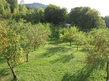 Ferienhaus in Kolasin (Montenegro) oder Ferienwohnung oder Ferienhaus