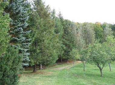 Ferienhaus in Kolasin (Montenegro) oder Ferienwohnung oder Ferienhaus