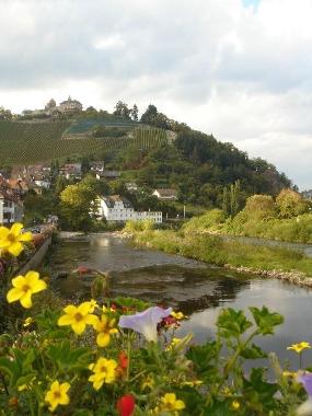 Ferienwohnung in Freudenstadt (Schwarzwald) oder Ferienwohnung oder Ferienhaus