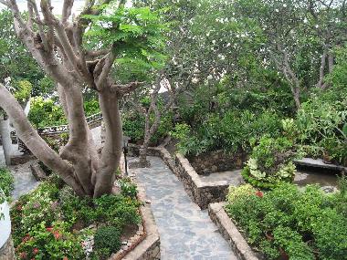 Ferienwohnung in Pattaya (Chon Buri) oder Ferienwohnung oder Ferienhaus