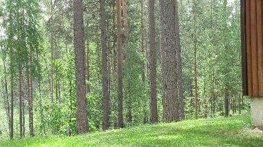 Ferienhaus in lapeenranta (Etela-Suomen Laani) oder Ferienwohnung oder Ferienhaus