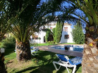 Blick von den Palmen auf das Haus, Fenster des Apart.